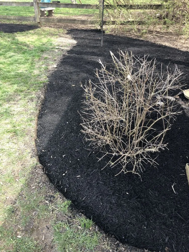 Expert outdoor landscaping for year-round maintenance in Cincinnati, OH by Rays of Sunshine Landscape & Design