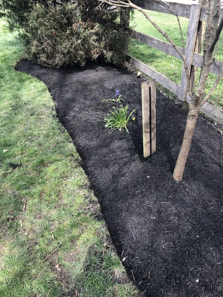 Local residential landscaping experts serving Cincinnati, OH - Rays of Sunshine Landscape & Design