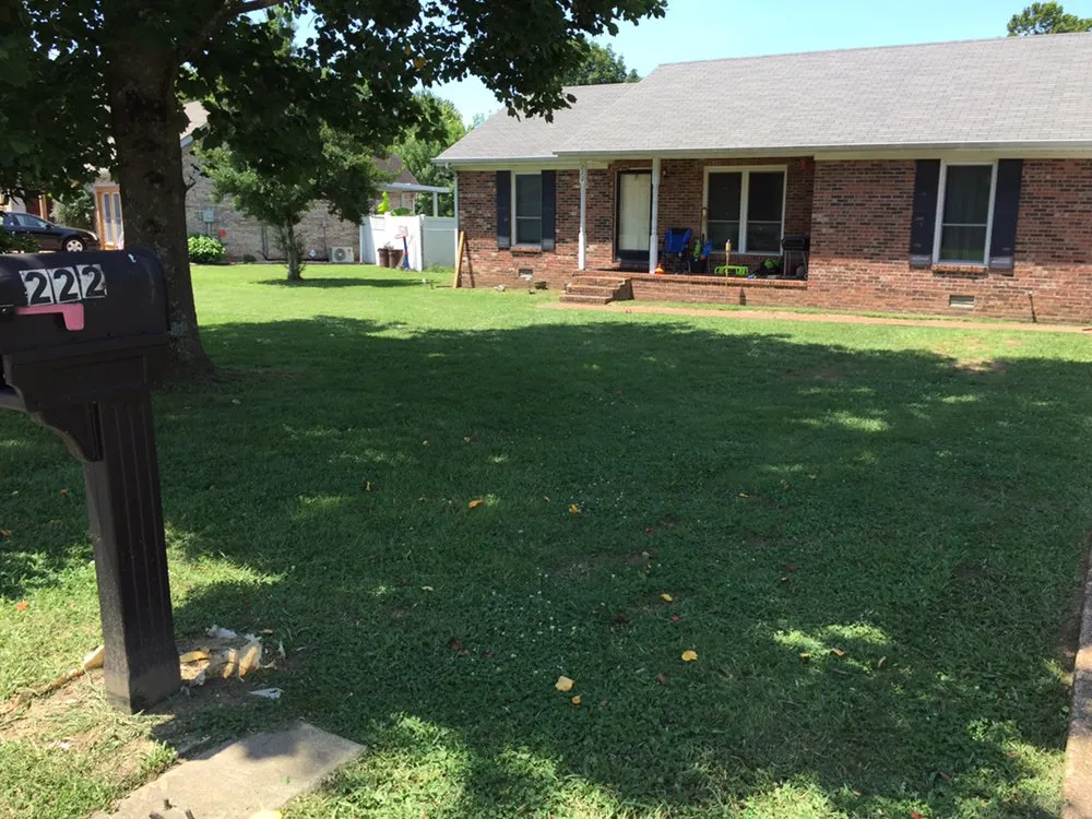 Professional residential landscaping in Nashville, TN - Ray's Reliable Lawn Services