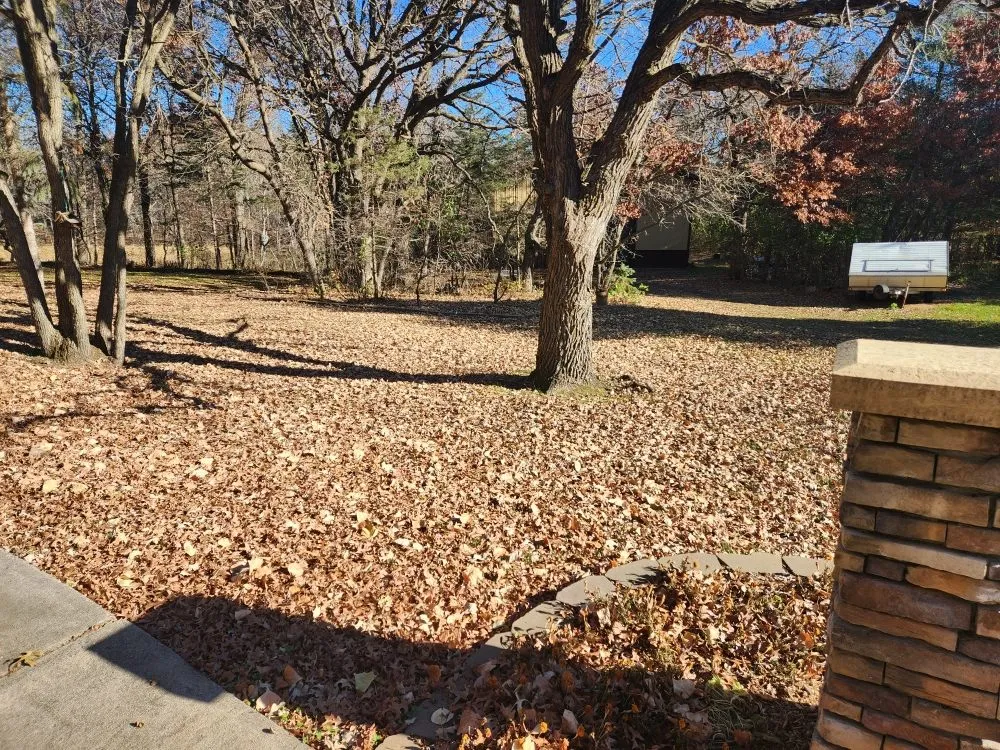 Top-rated outdoor landscaping for outdoor upgrades in Buffalo, MN by Ray's Services