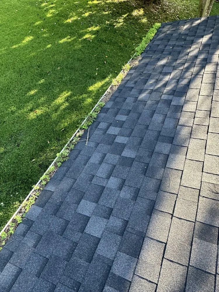 Affordable residential landscaping in Ampthill, VA - Rays Tree and Yard Service