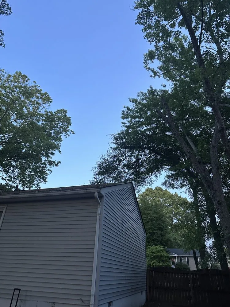 Professional landscape installation in Ampthill, VA by Rays Tree and Yard Service