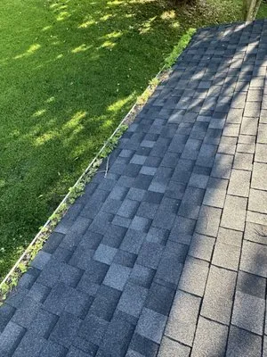 Rays Tree and Yard Service Logo