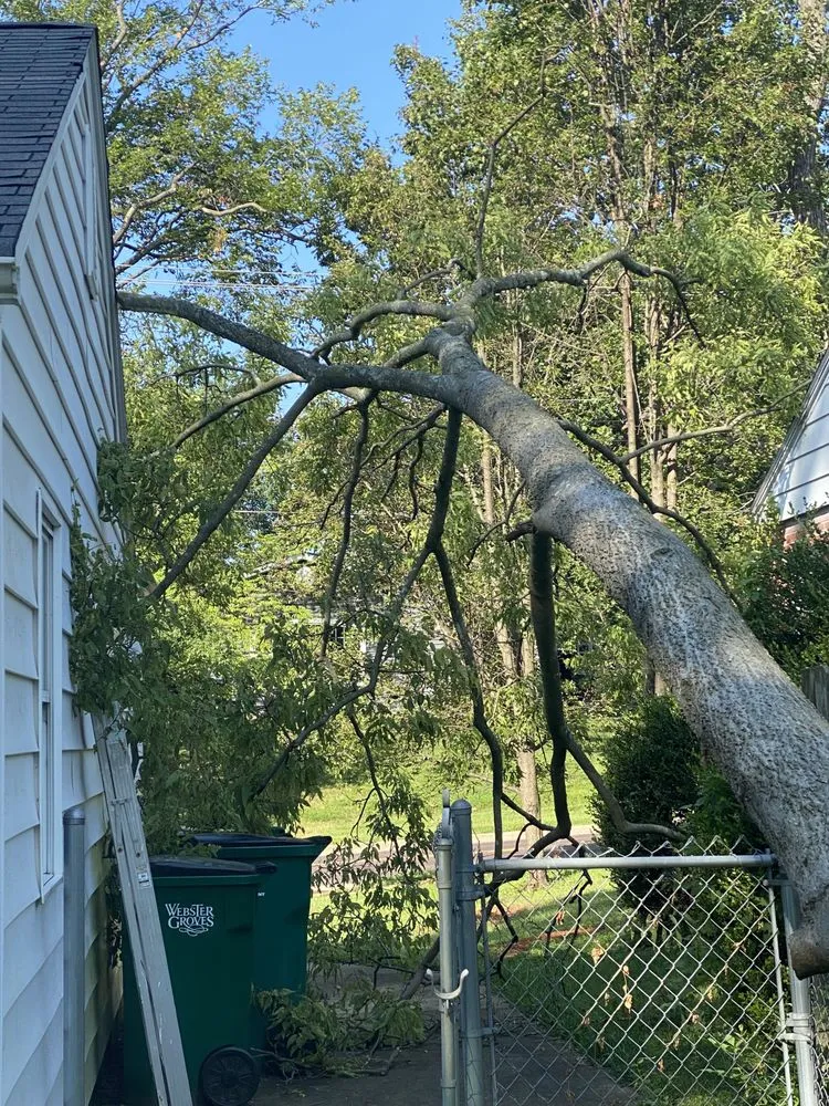 Trusted landscape design in Fenton, MO - Ray's Tree Service