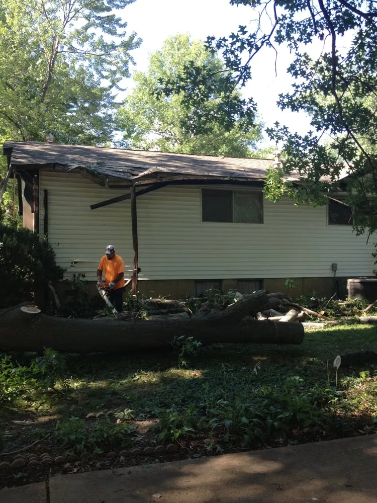 Affordable outdoor landscaping experts serving Fenton, MO - Ray's Tree Service