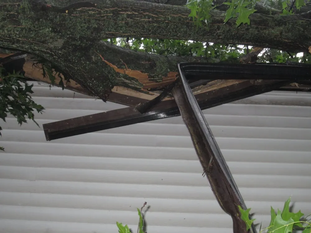 Custom landscape installation for beautiful yards across Fenton, MO - Ray's Tree Service