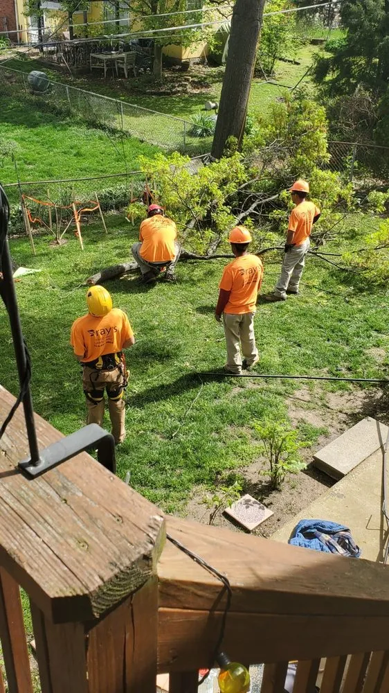 Local residential landscaping near you in Fenton, MO by Ray's Tree Service