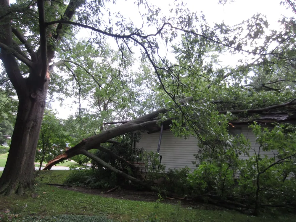 Local outdoor landscaping in Fenton, MO - Ray's Tree Service