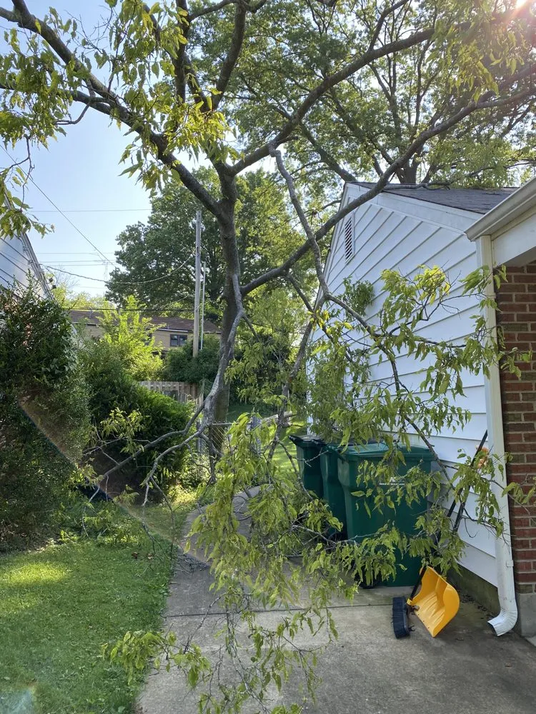 Local lawn mowing service for homes in Fenton, MO by Ray's Tree Service