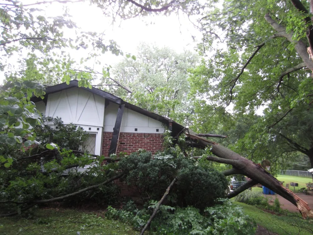 Trusted residential landscaping for year-round maintenance across Fenton, MO - Ray's Tree Service