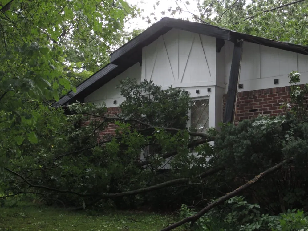 Local residential landscaping in Fenton, MO by Ray's Tree Service