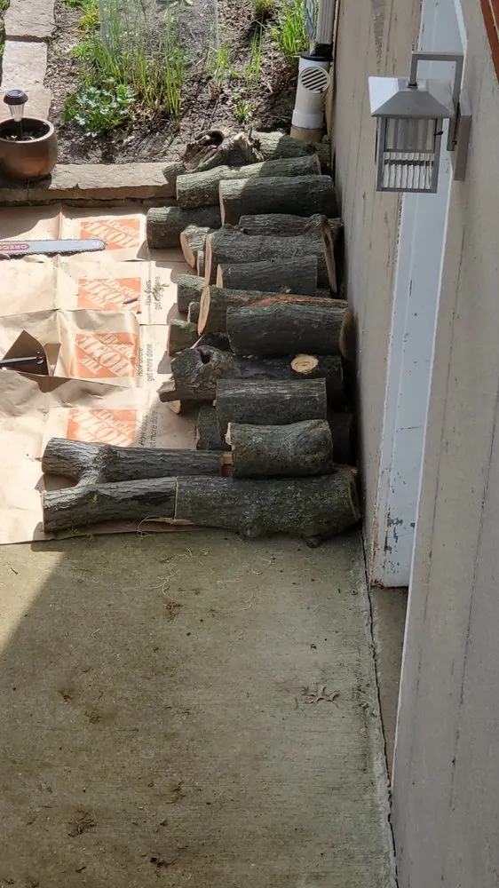 Top-rated lawn mowing service for outdoor upgrades across Fenton, MO - Ray's Tree Service