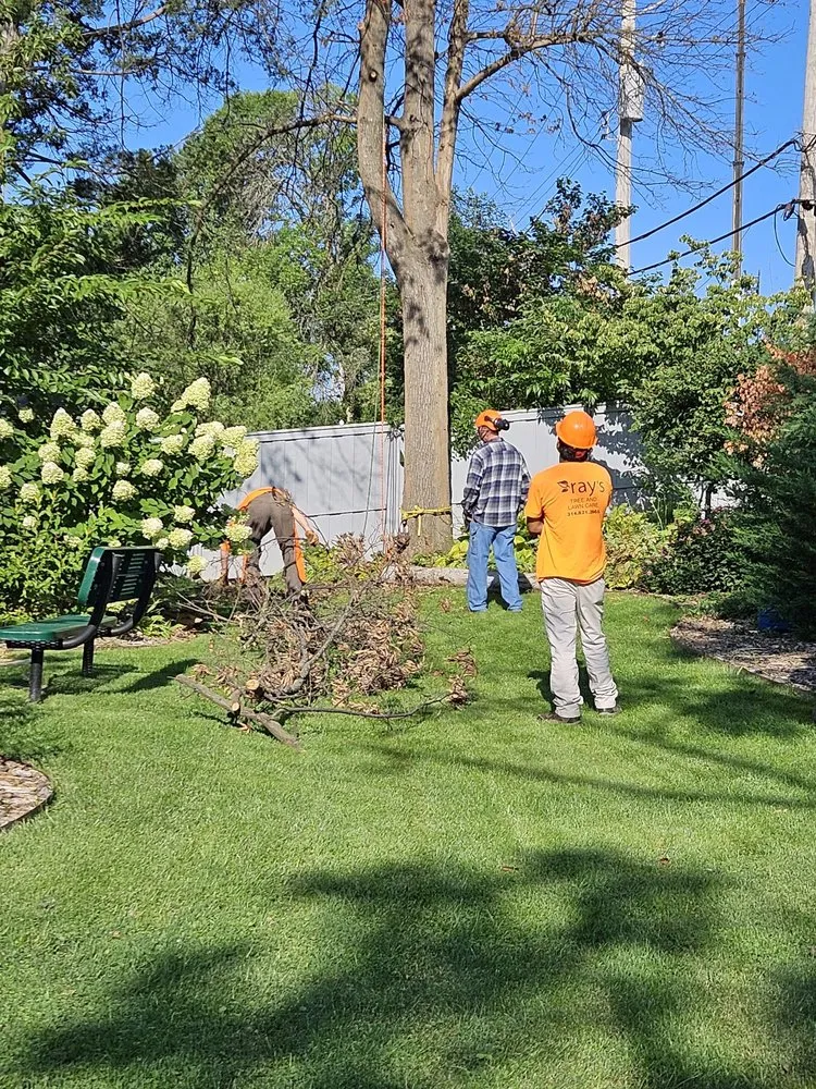 Trusted landscape design in Fenton, MO by Ray's Tree Service