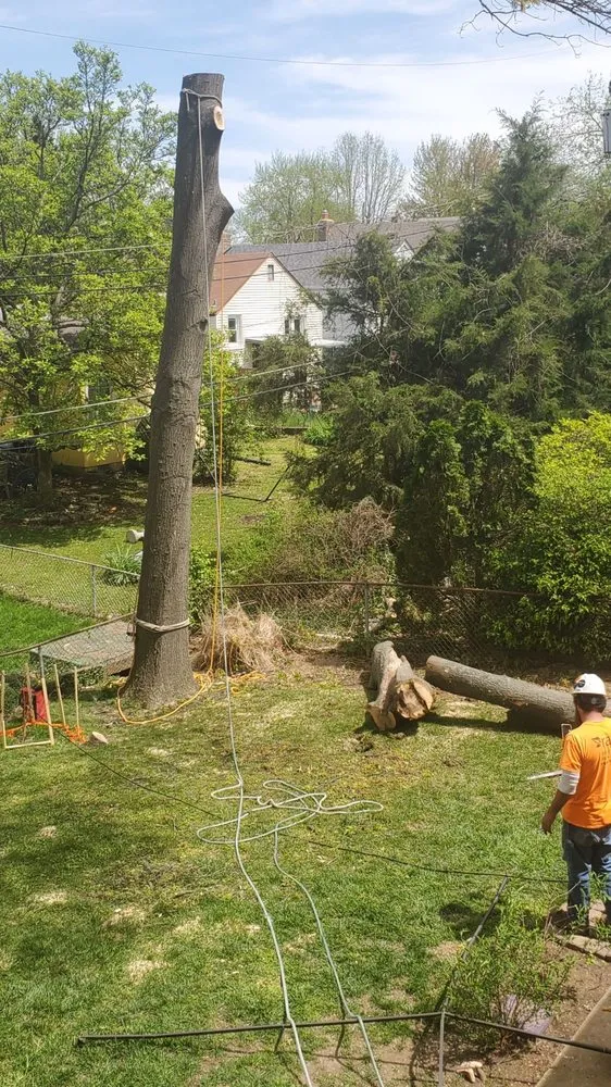 Expert garden landscaping for homes across Fenton, MO - Ray's Tree Service