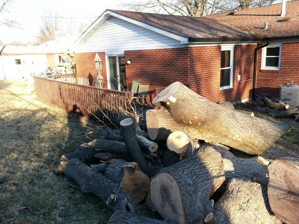 Top-rated lawn mowing service for residential properties across Fenton, MO - Ray's Tree Service