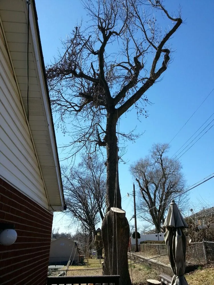 Trusted residential landscaping experts serving Fenton, MO - Ray's Tree Service