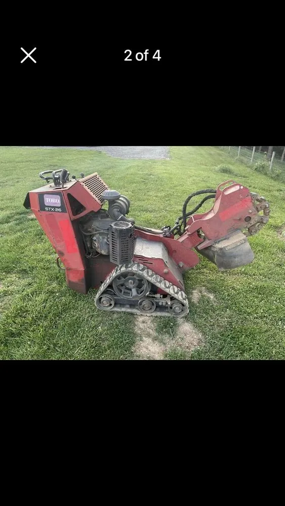 Reliable yard maintenance for outdoor upgrades across Timberville, VA - Ray's Tree Service