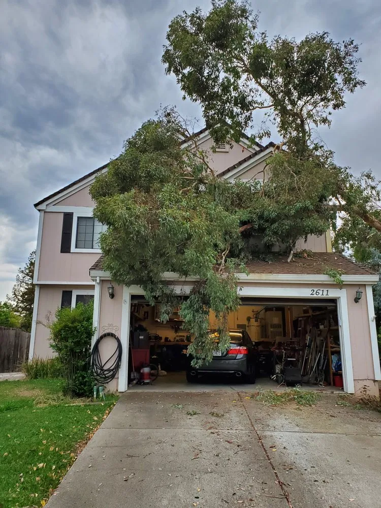 Expert outdoor landscaping for outdoor upgrades across Vallejo, CA - Ray's Tree Services