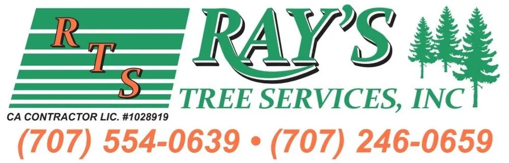 Trusted landscape design in Vallejo, CA - Ray's Tree Services