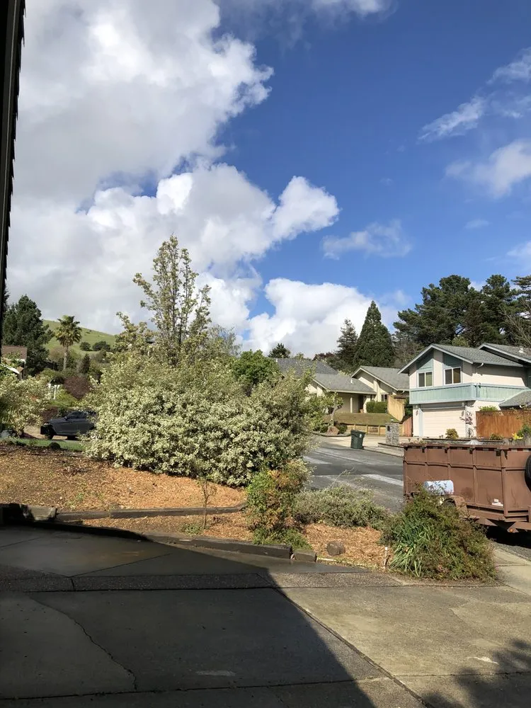 Affordable outdoor landscaping for year-round maintenance in Vallejo, CA by Ray's Tree Services