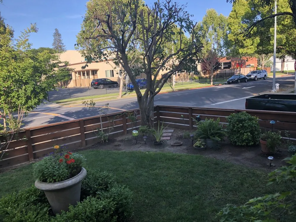 Professional landscaping services for year-round maintenance across Vallejo, CA - Ray's Tree Services