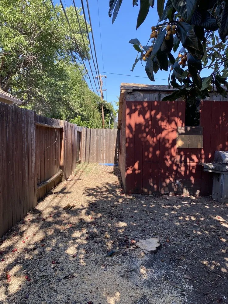 Expert yard cleanup service in Vallejo, CA by Ray's Tree Services