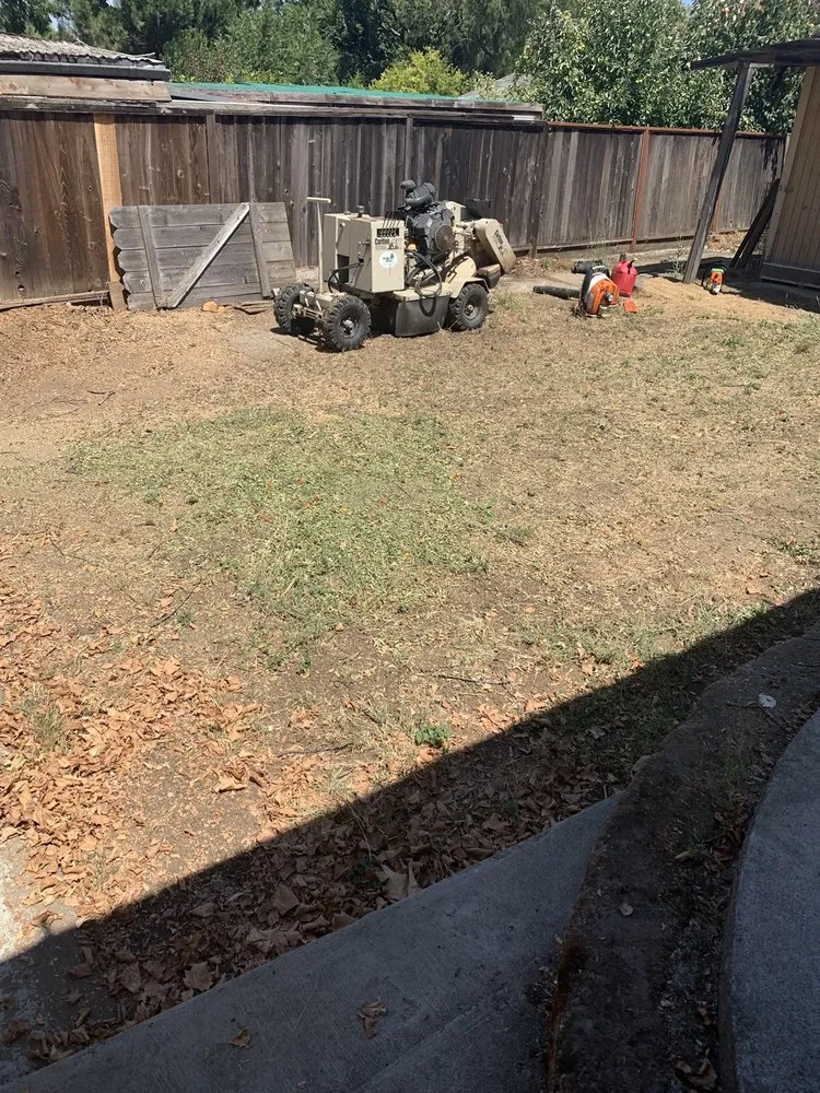 Trusted residential landscaping for outdoor upgrades across Vallejo, CA - Ray's Tree Services