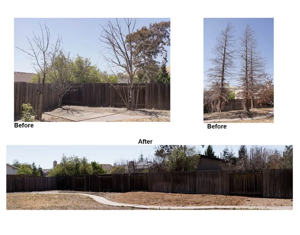 Expert garden landscaping in Vallejo, CA by Ray's Tree Services