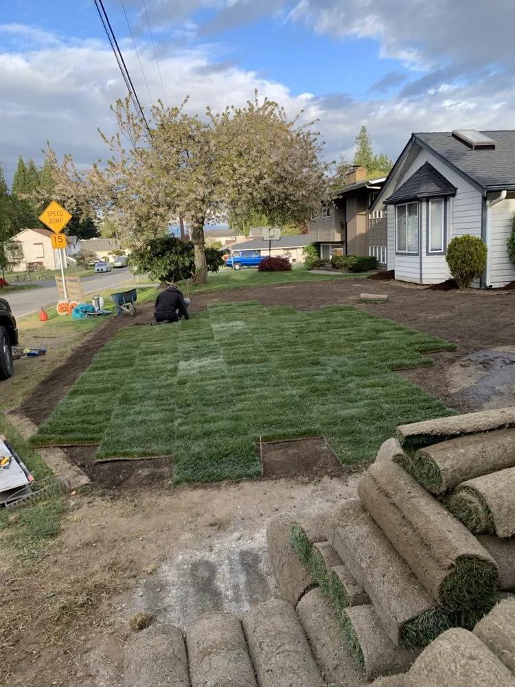 Professional lawn care service in Everett, WA - Ray’s Varied Home Services