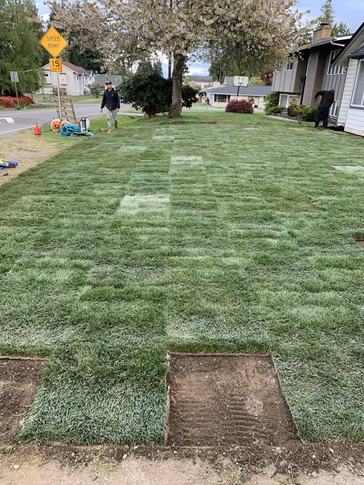 Local yard cleanup service in Everett, WA - Ray’s Varied Home Services