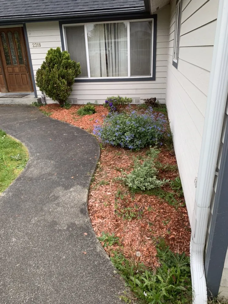 Local garden landscaping for outdoor upgrades in Everett, WA by Ray’s Varied Home Services