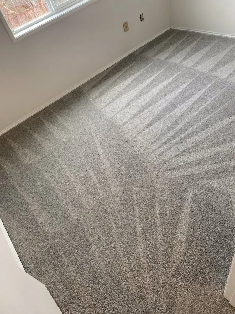 Top-rated yard cleanup service for year-round maintenance across Everett, WA - Ray’s Varied Home Services