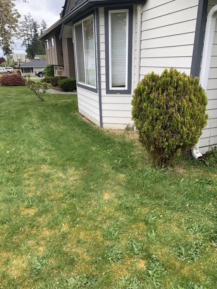 Professional landscape installation in Everett, WA by Ray’s Varied Home Services