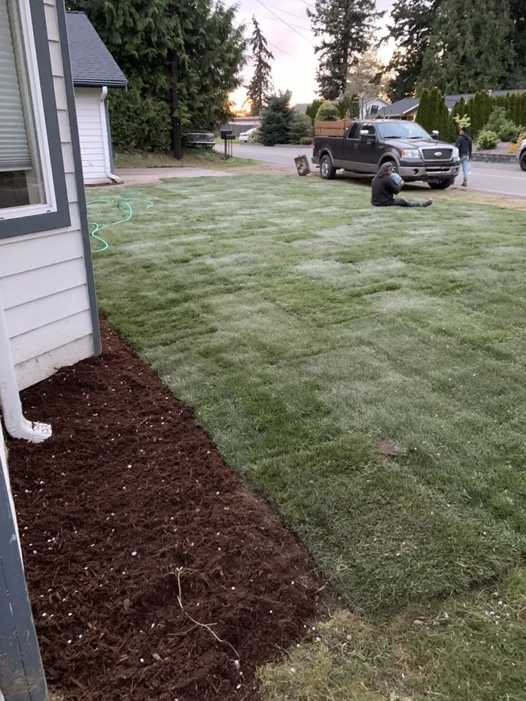 Trusted yard cleanup service in Everett, WA by Ray’s Varied Home Services