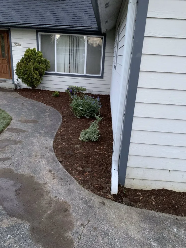 Top-rated yard maintenance for outdoor upgrades in Everett, WA by Ray’s Varied Home Services
