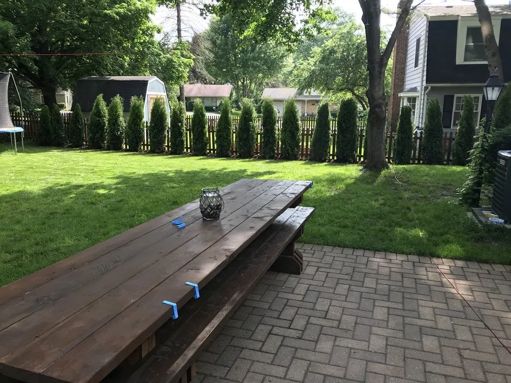 Trusted yard cleanup service in Cary, IL by Rayscape