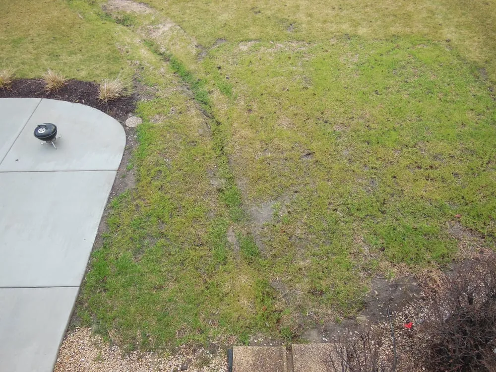 Top-rated outdoor landscaping for outdoor upgrades across Cary, IL - Rayscape