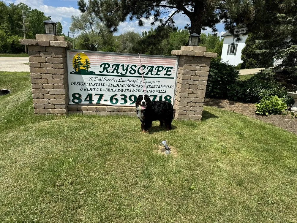 Top-rated outdoor landscaping near you across Cary, IL - Rayscape