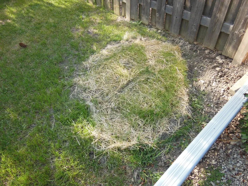 Trusted landscape installation for beautiful yards across Cary, IL - Rayscape