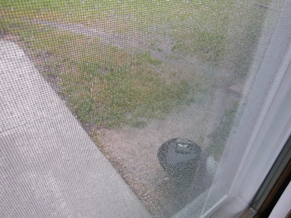 Local landscaping services in Cary, IL - Rayscape