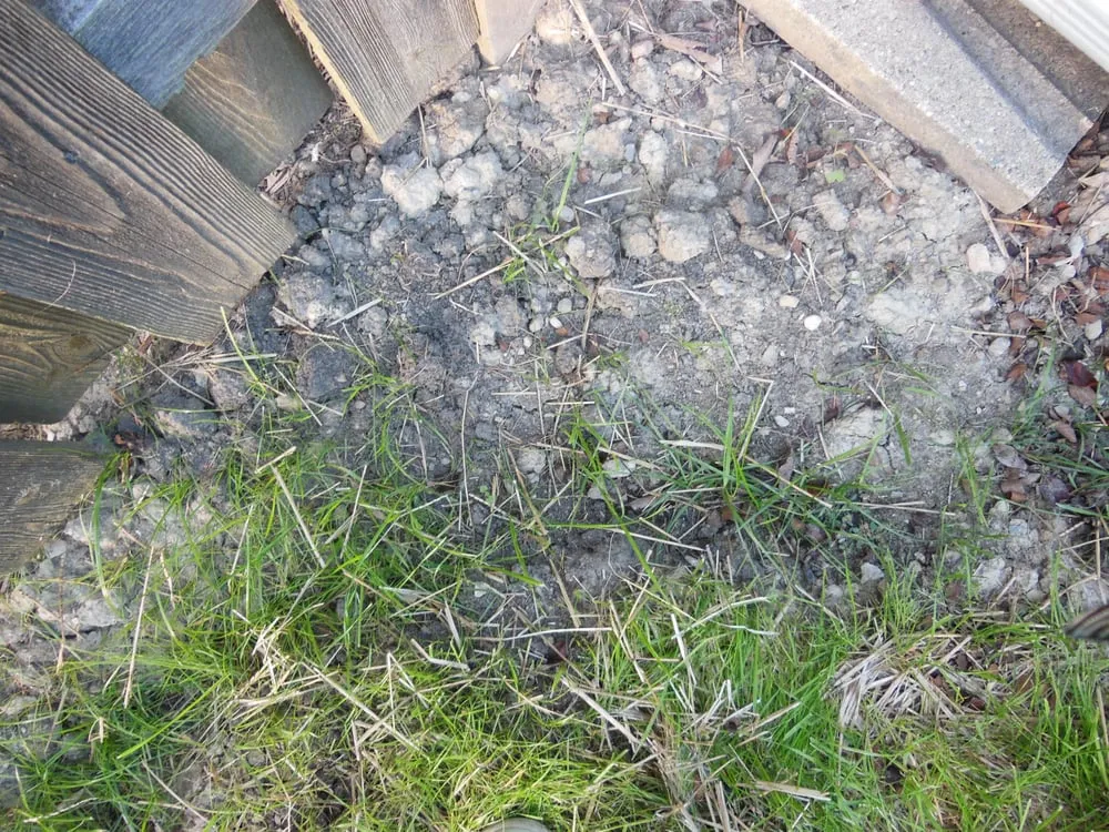 Trusted yard maintenance near you in Cary, IL by Rayscape