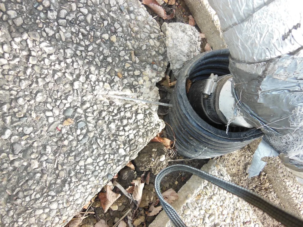 Trusted yard cleanup service experts serving Cary, IL - Rayscape