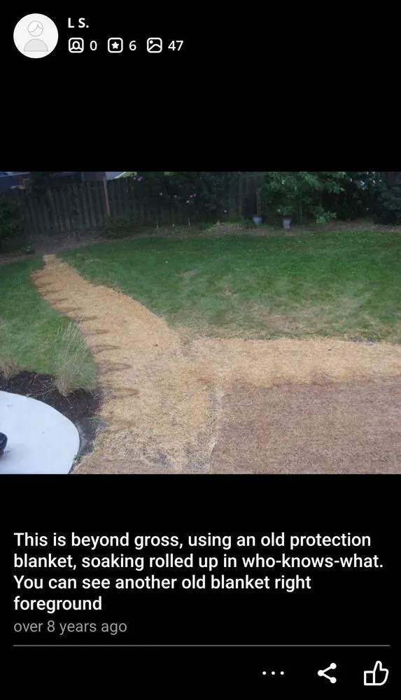 Top-rated yard maintenance experts serving Cary, IL - Rayscape