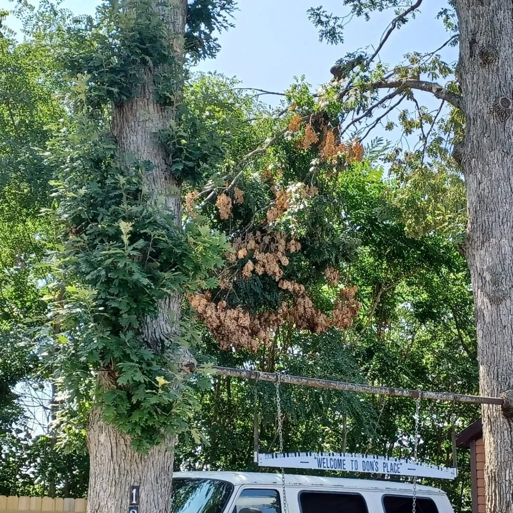 Custom garden landscaping with custom design across Crown Point, IN - Rayski Tree Serivces