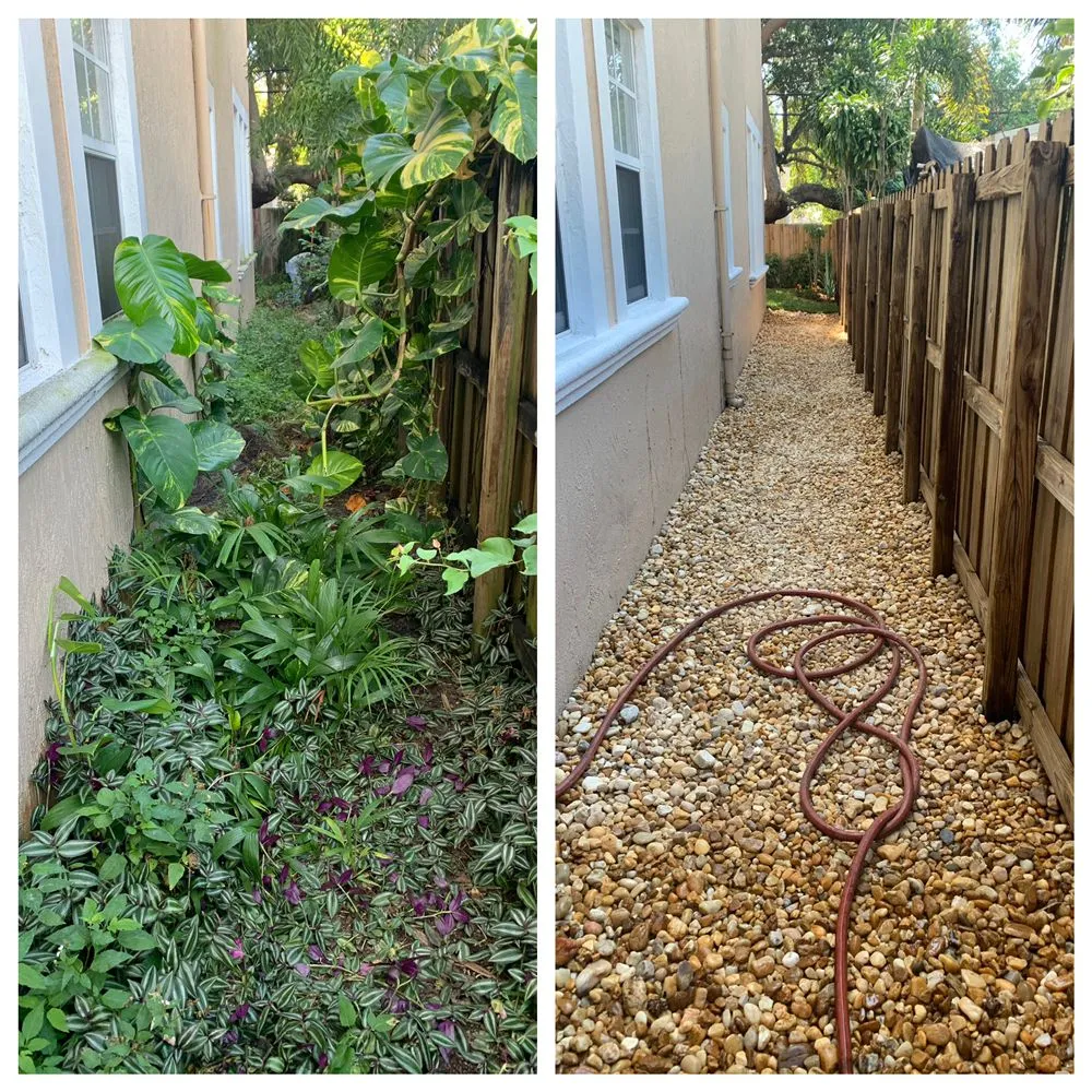 Trusted landscaping services in Delray Beach, FL by Raze Designs