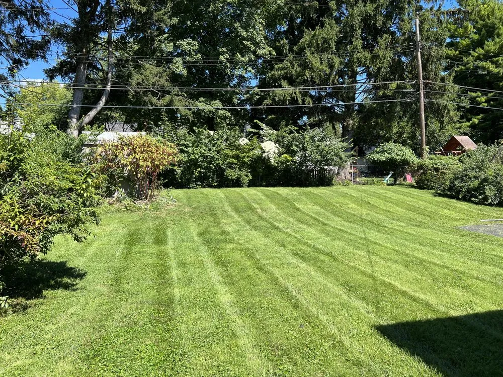 Trusted landscaping services for outdoor upgrades across Columbus, OH - Raze Lawn Care & Landscaping