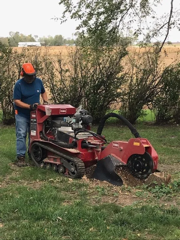 Custom yard maintenance in Churdan, IA - RAZE Stump Grinding