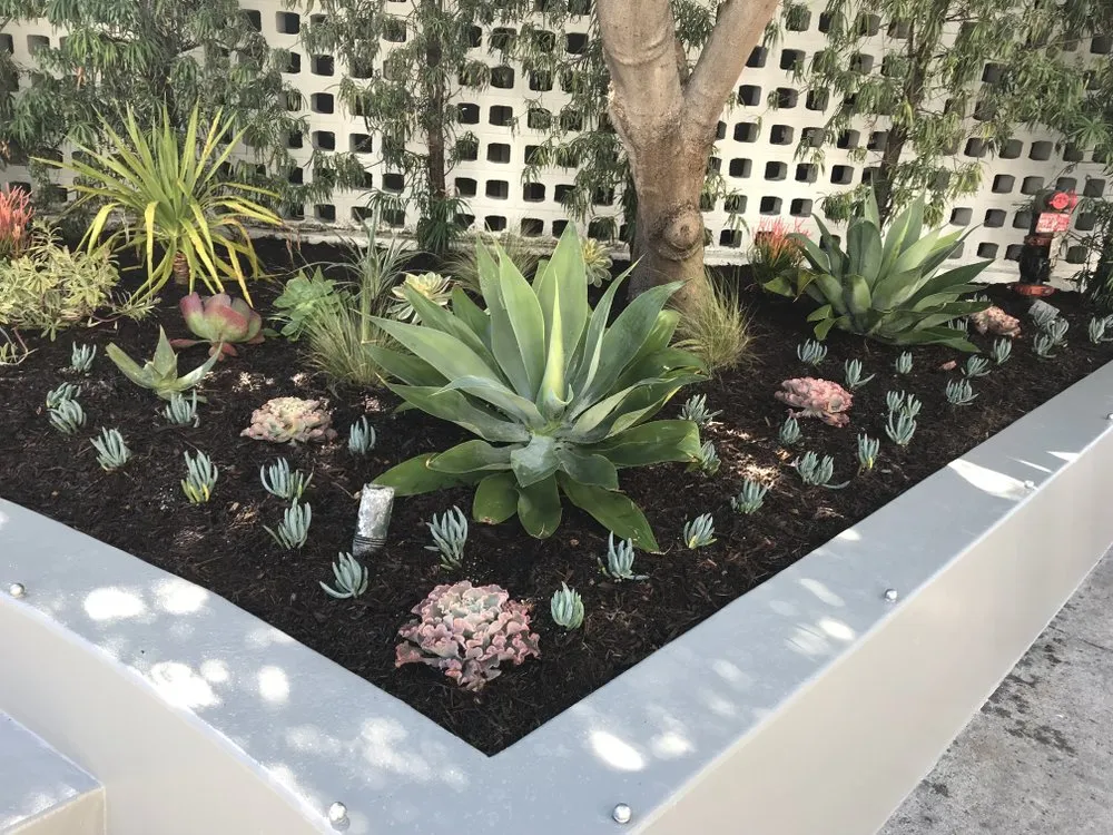 Expert yard cleanup service for beautiful yards across Long Beach, CA - Razo Landscaping