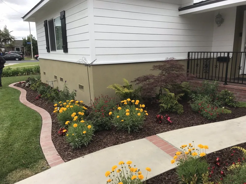 Local landscape installation for outdoor upgrades across Long Beach, CA - Razo Landscaping