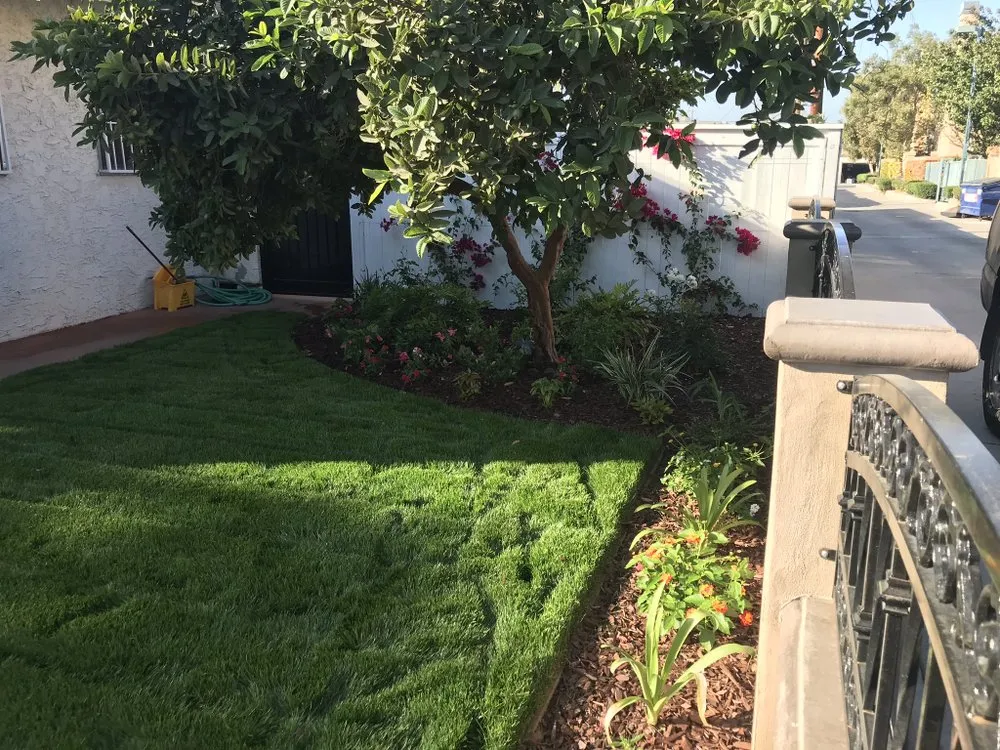 Affordable landscaping services for year-round maintenance in Long Beach, CA by Razo Landscaping